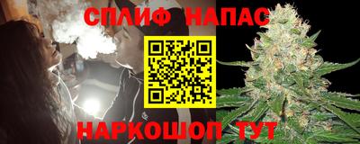 Альфа ПВП Кандалакша