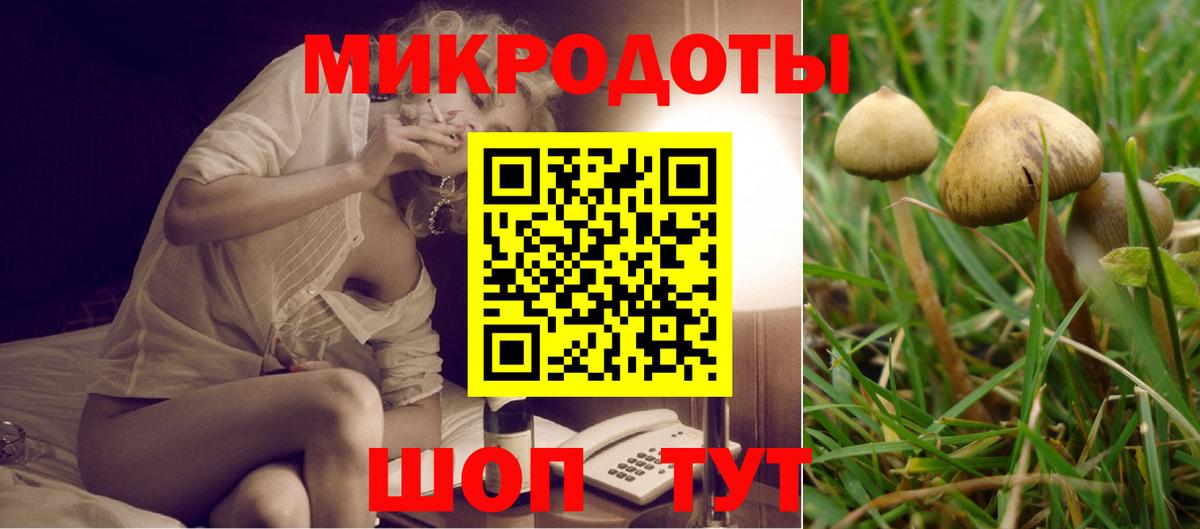 где найти   Вход с VPN  Коряжма  Галлюциногенные грибы Cubensis 
